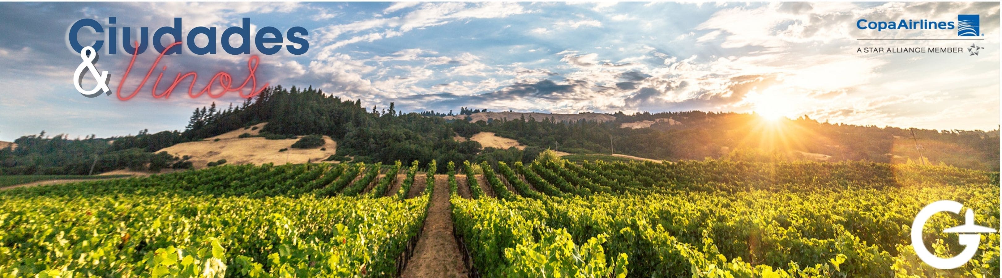 Argentina Ciudades y Vinos 